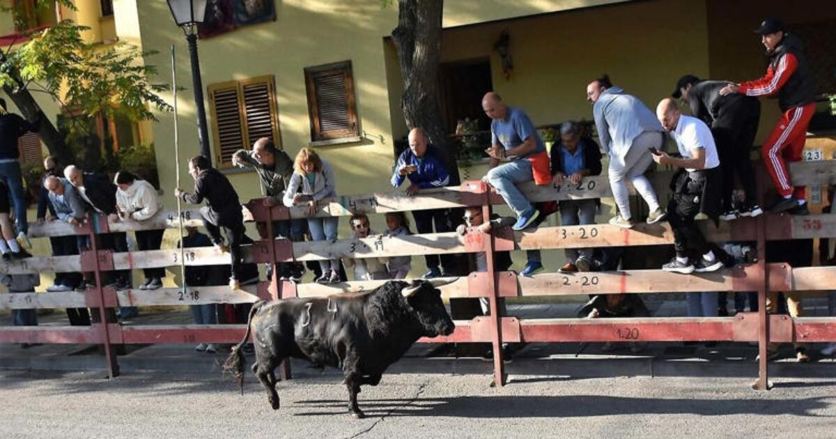 hombre que fue corneado varias veces en el pierna