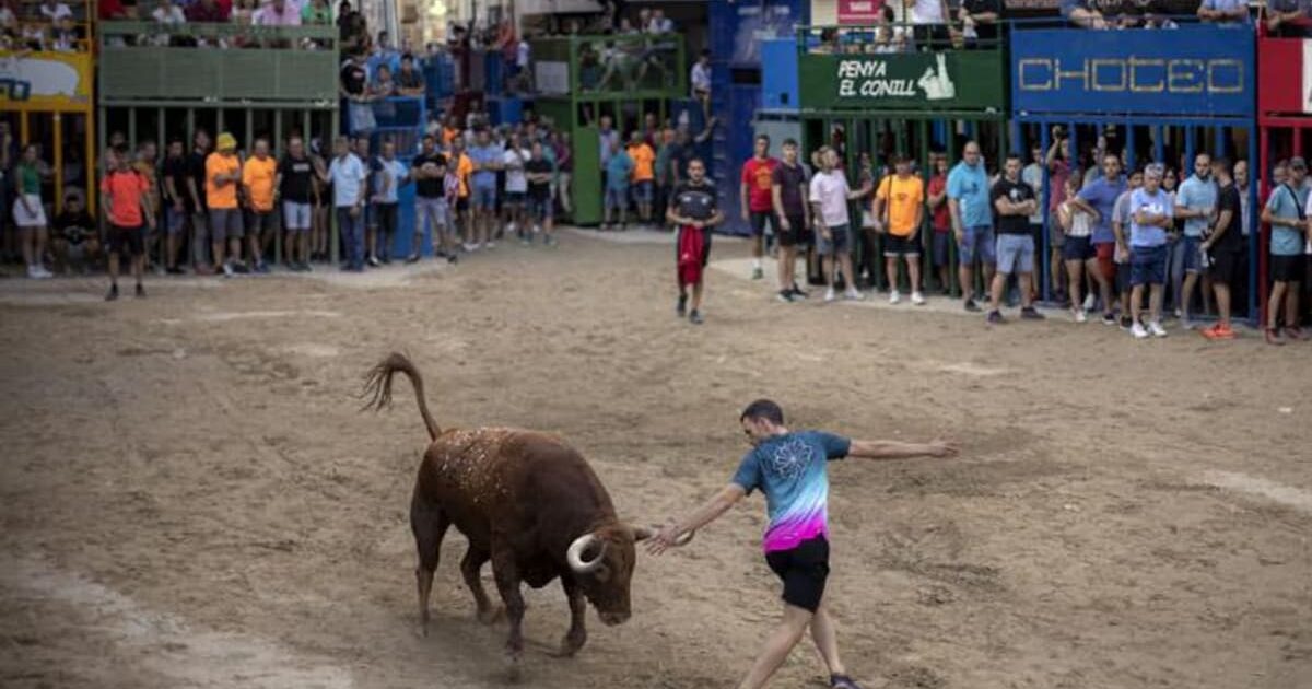 Imagen de archivo de un festejo taurino en la Comunidad Valenciana